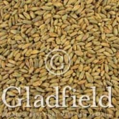 Gladfield Rye Malt