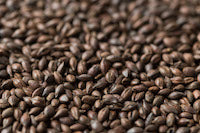 Gladfield Roasted Barley Malt