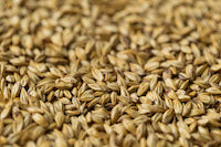 Gladfield Toffee Malt