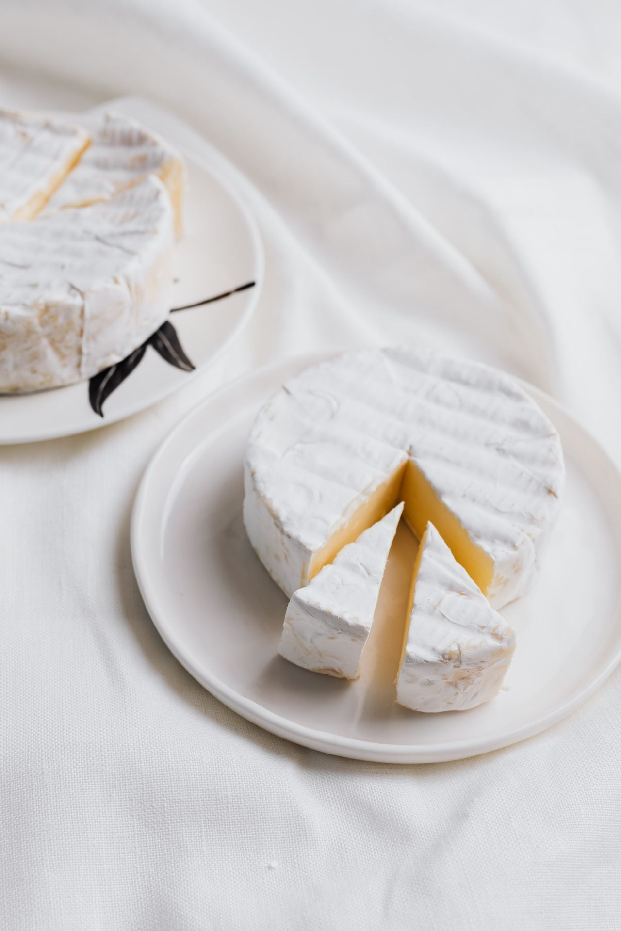 Cheese Making