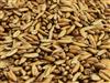 Gladfield Golden Oat