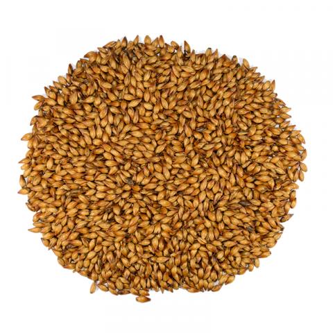 Dingemans Special B Malt