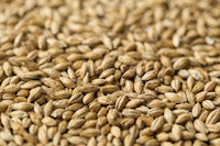 Gladfield Ale Malt