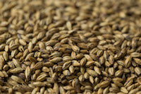 Gladfield Biscuit Malt