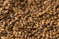 Gladfield Brown Malt
