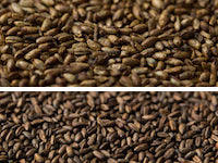 Gladfield Crystal Rye Malt