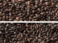 Gladfield Dark Chocolate Malt